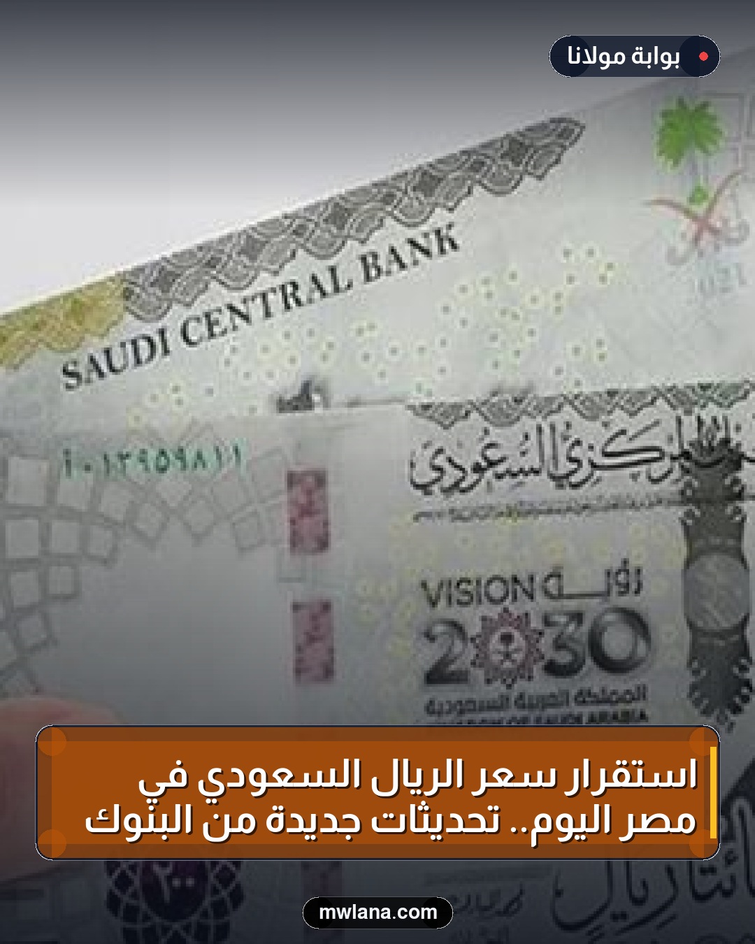 استقرار سعر الريال السعودي في مصر اليوم.. تحديثات جديدة من البنوك