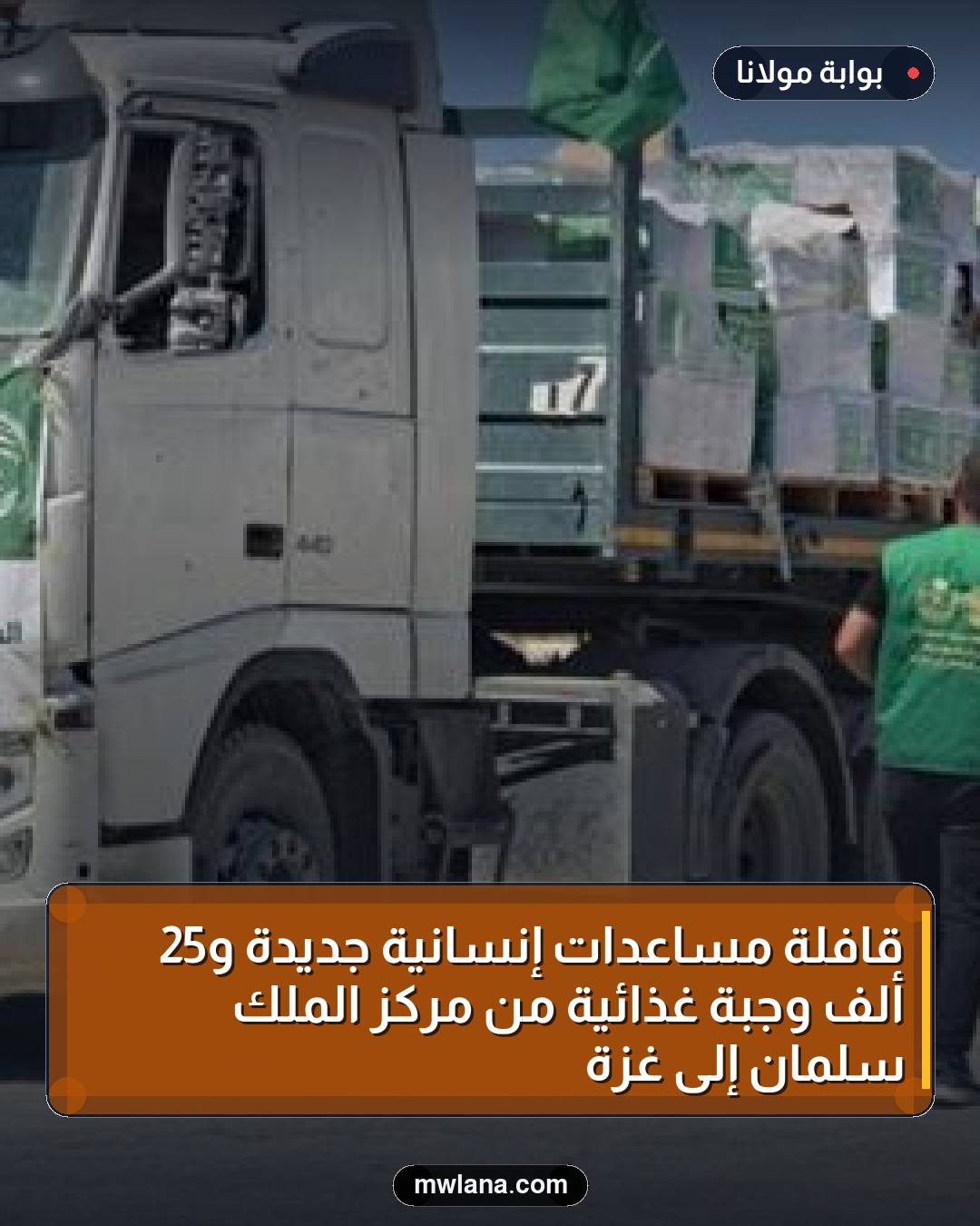 قافلة مساعدات إنسانية جديدة و25 ألف وجبة غذائية من مركز الملك سلمان إلى غزة