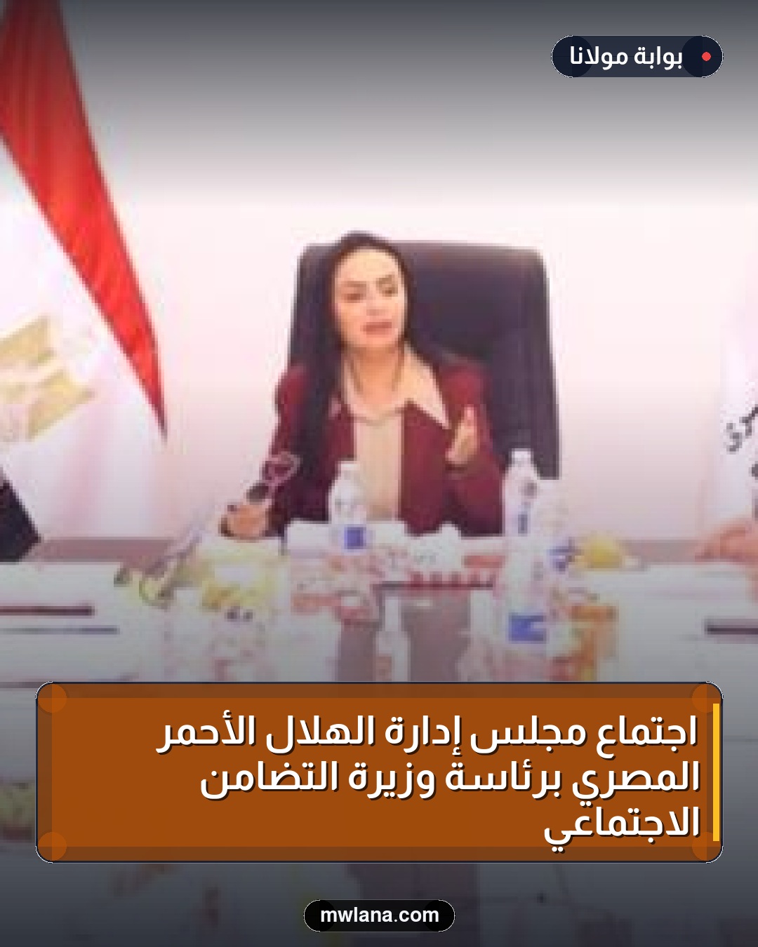 اجتماع مجلس إدارة الهلال الأحمر المصري برئاسة وزيرة التضامن الاجتماعي