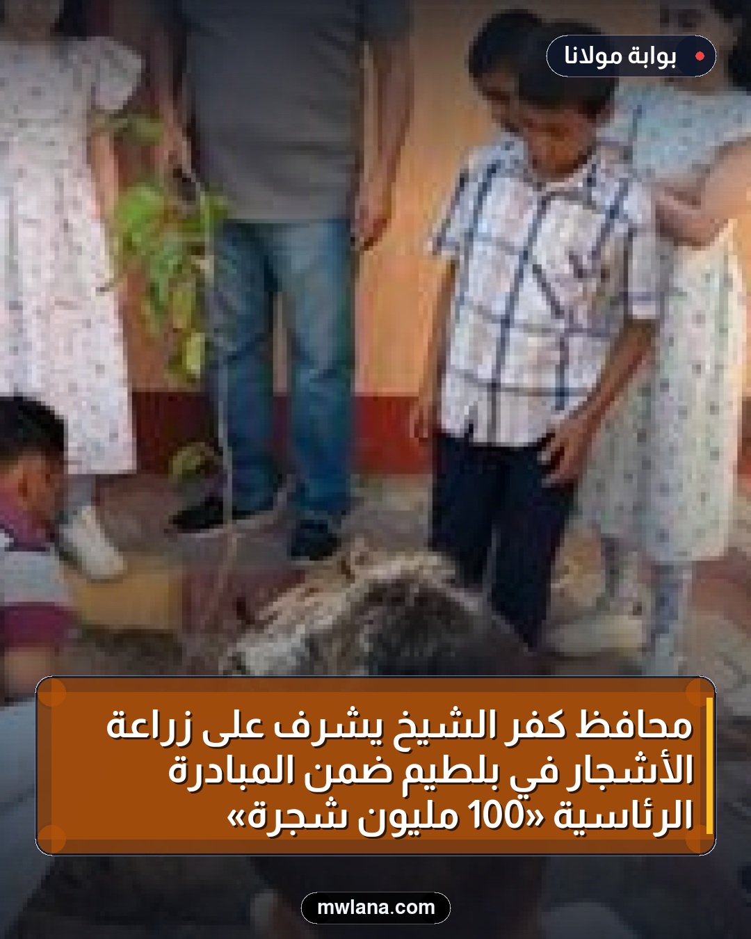 محافظ كفر الشيخ يشرف على زراعة الأشجار في بلطيم ضمن المبادرة الرئاسية «100 مليون شجرة»