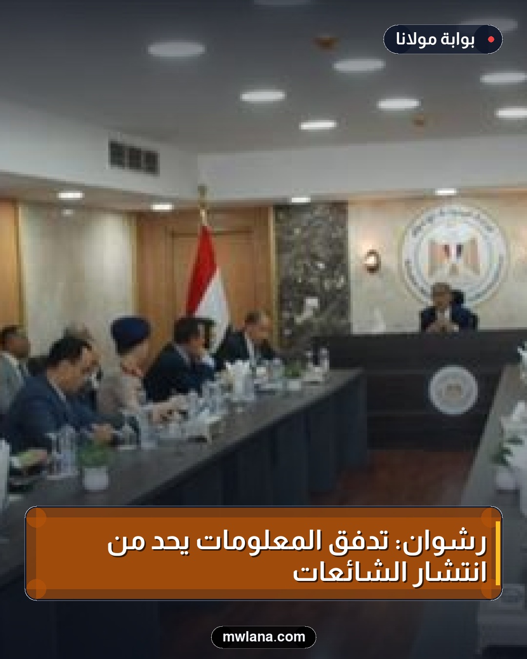 رشوان: تدفق المعلومات يحد من انتشار الشائعات