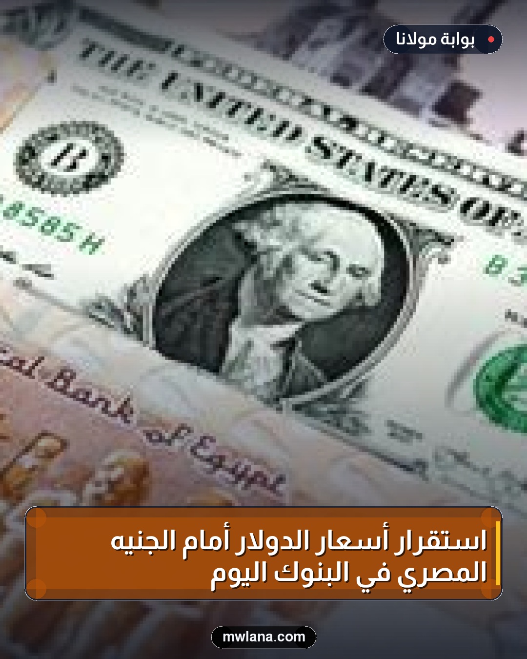 استقرار أسعار الدولار أمام الجنيه المصري في البنوك اليوم