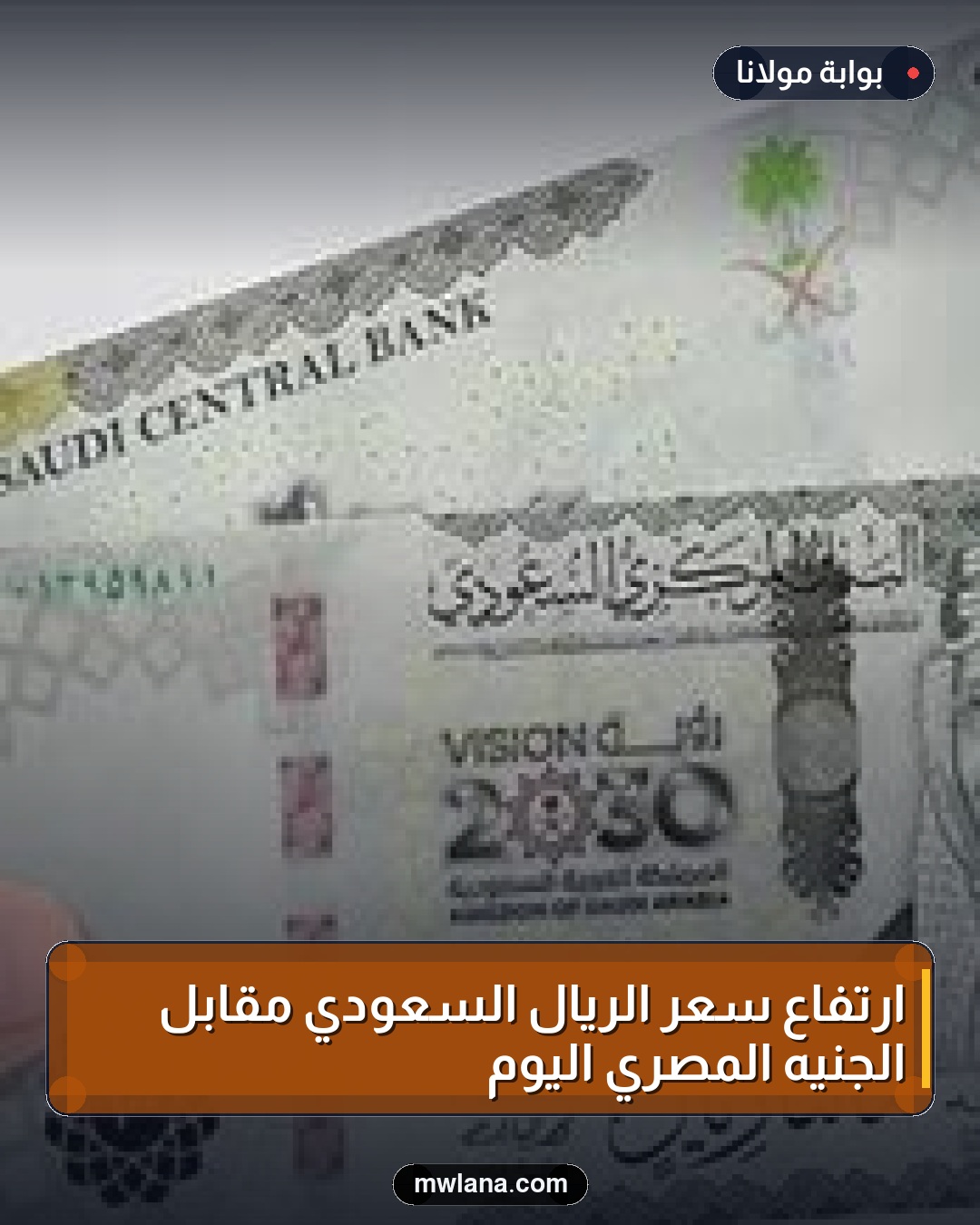 ارتفاع سعر الريال السعودي مقابل الجنيه المصري اليوم