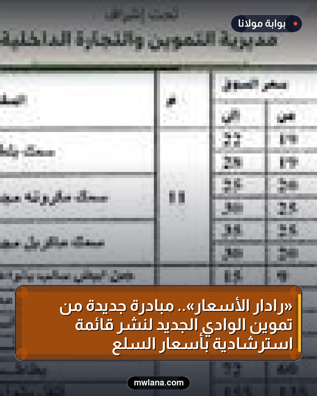 «رادار الأسعار».. مبادرة جديدة من تموين الوادي الجديد لنشر قائمة استرشادية بأسعار السلع
