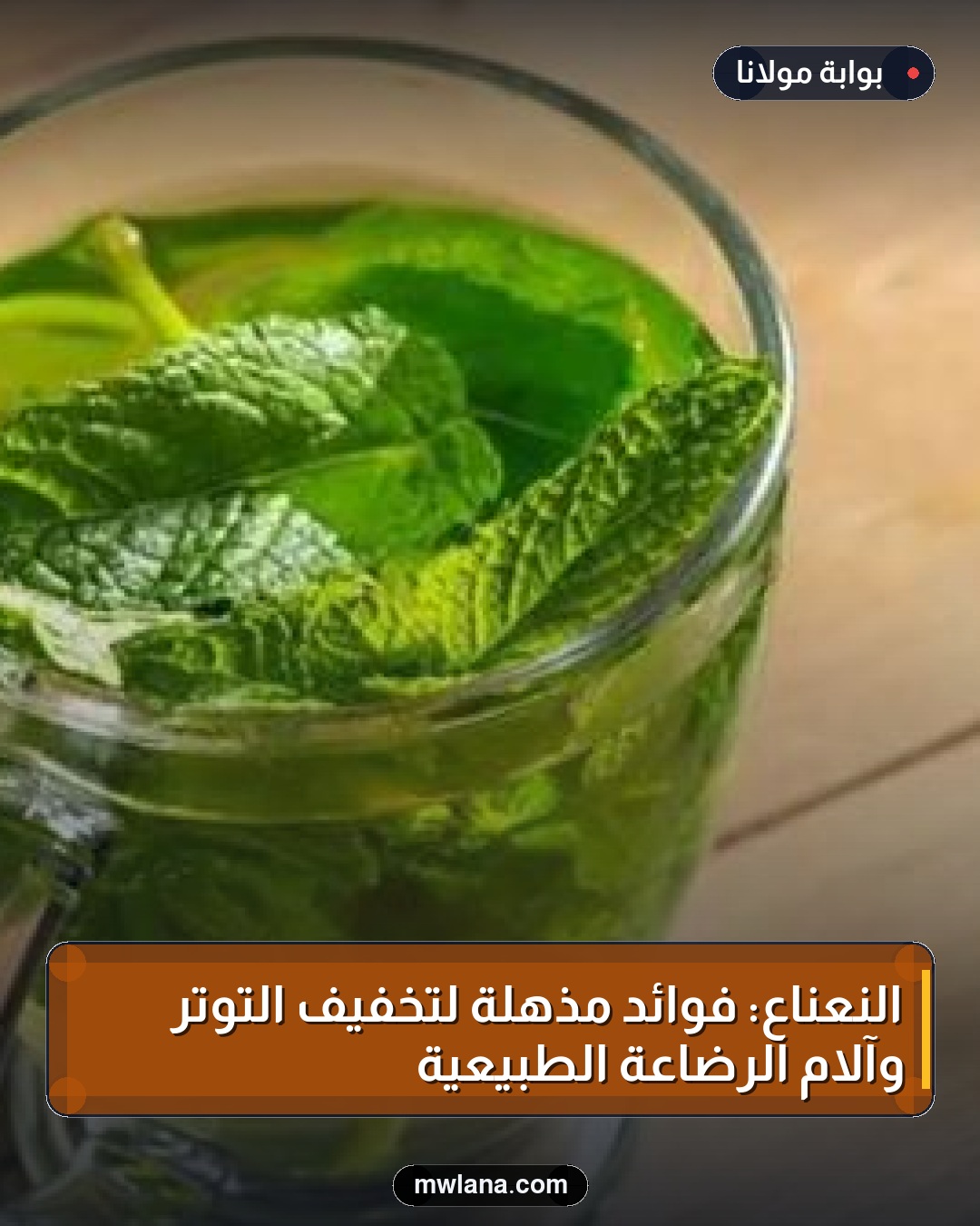 النعناع: فوائد مذهلة لتخفيف التوتر وآلام الرضاعة الطبيعية