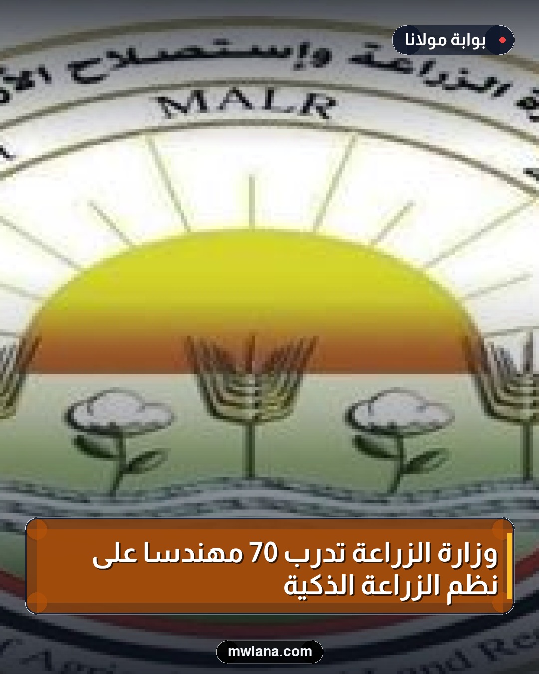 وزارة الزراعة تدرب 70 مهندسًا على نظم الزراعة الذكية
