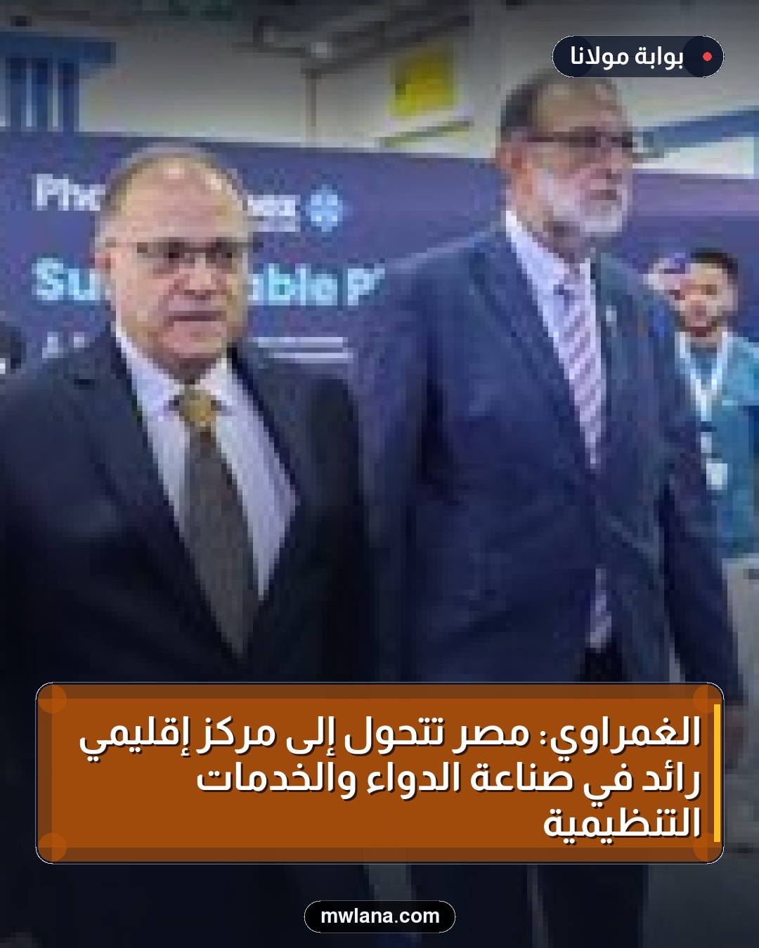 الغمراوي: مصر تتحول إلى مركز إقليمي رائد في صناعة الدواء والخدمات التنظيمية