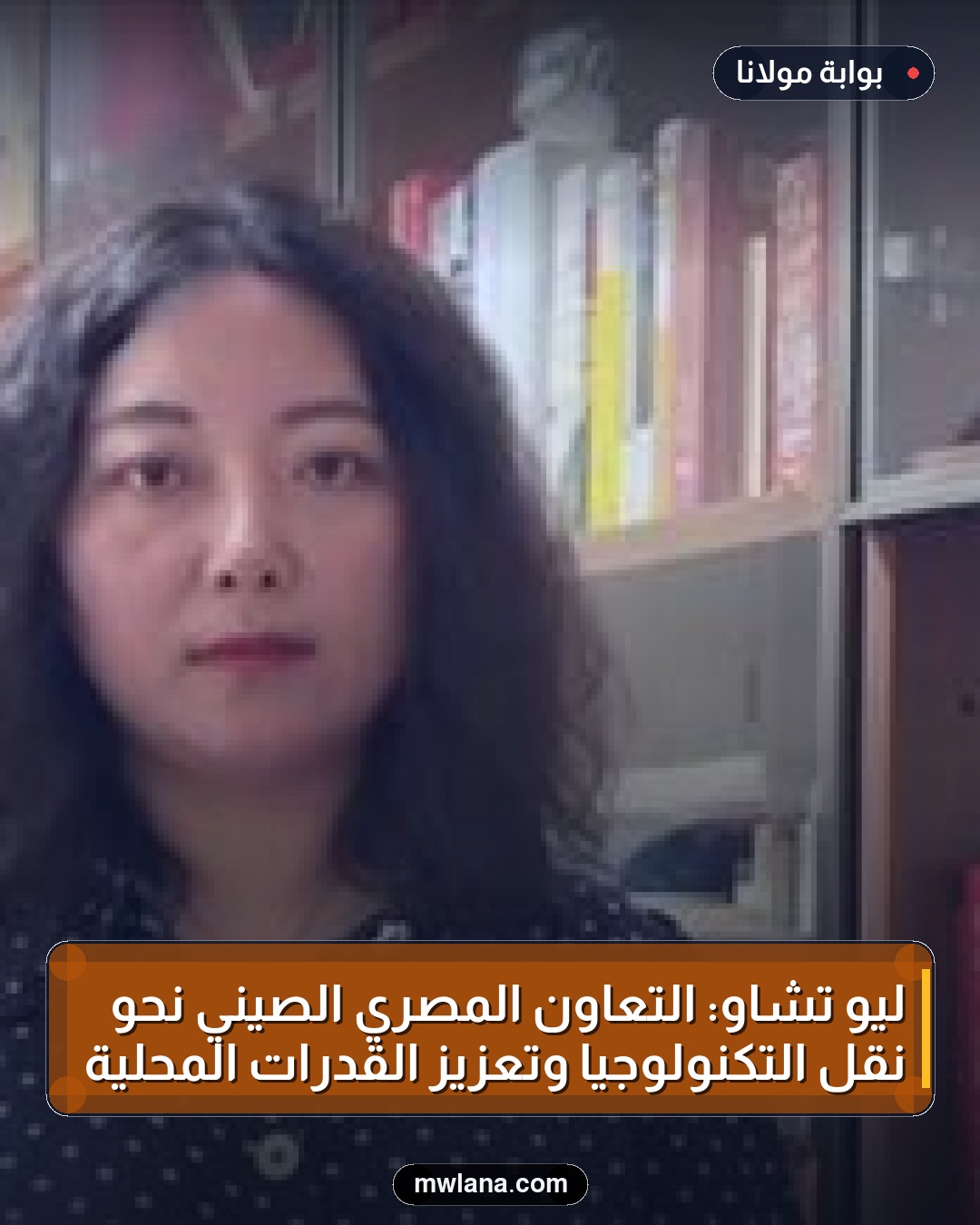 ليو تشاو: التعاون المصري الصيني نحو نقل التكنولوجيا وتعزيز القدرات المحلية