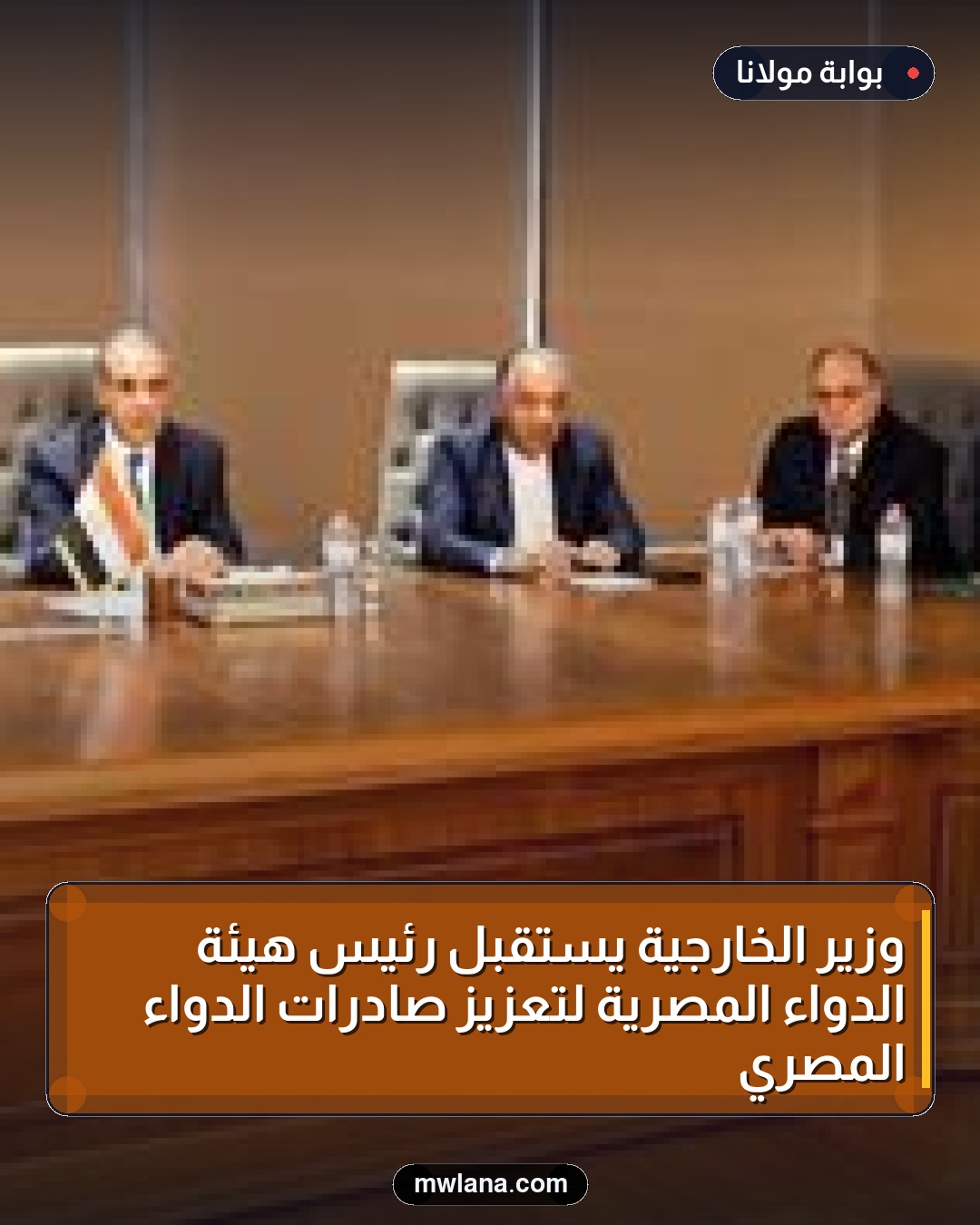 وزير الخارجية يستقبل رئيس هيئة الدواء المصرية لتعزيز صادرات الدواء المصري
