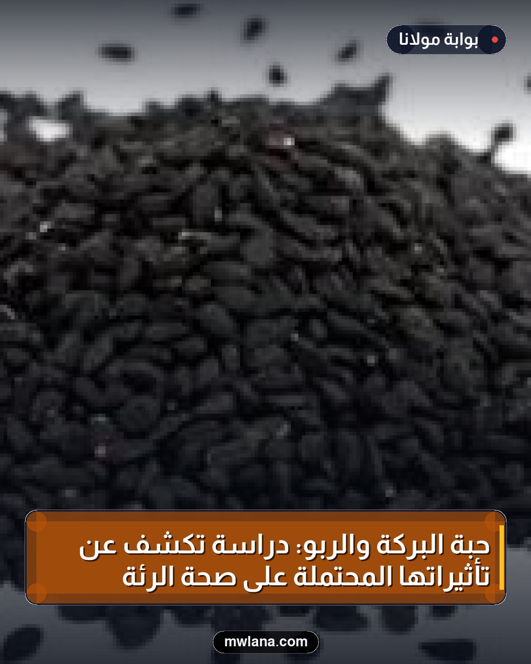 حبة البركة والربو: دراسة تكشف عن تأثيراتها المحتملة على صحة الرئة