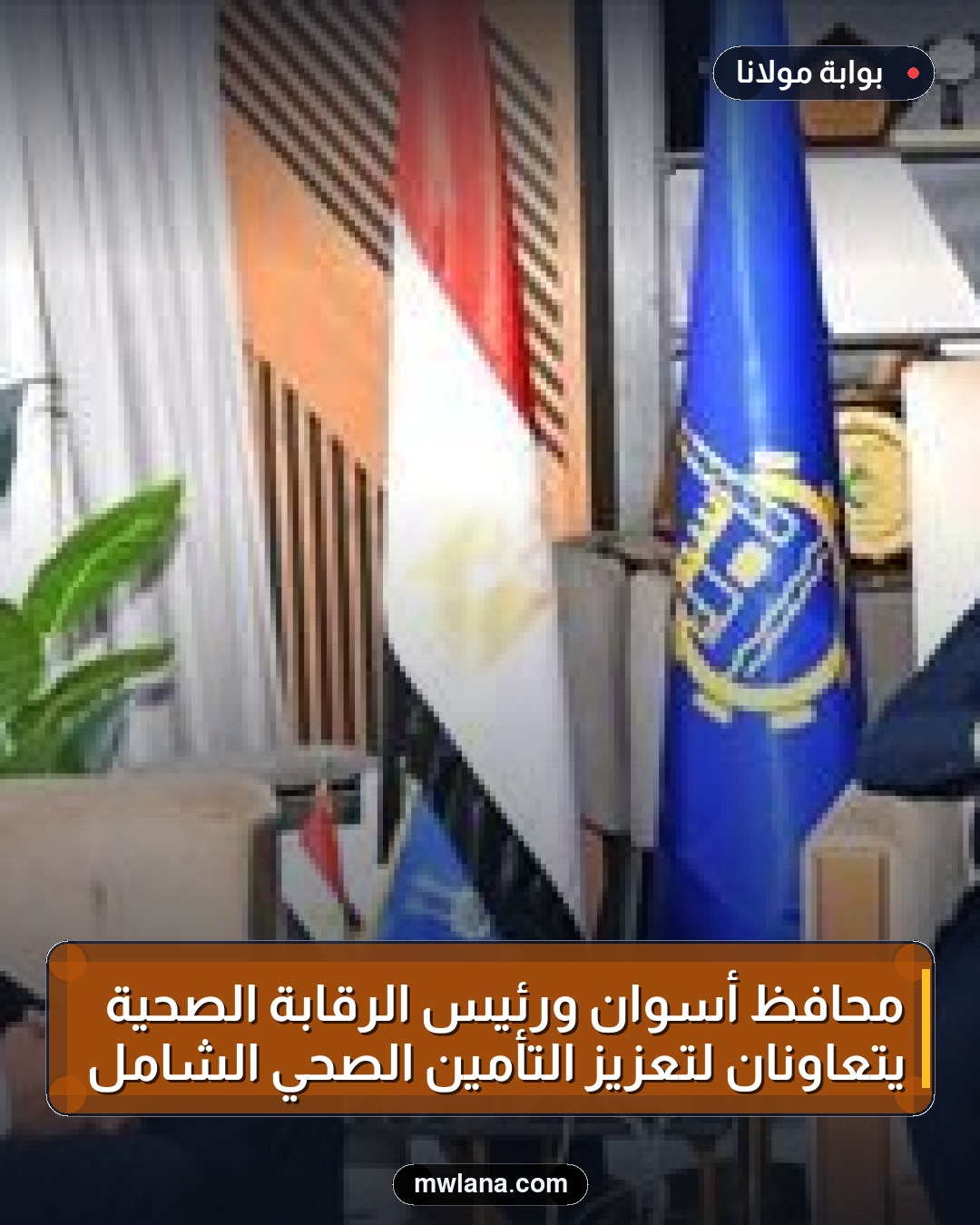 محافظ أسوان ورئيس الرقابة الصحية يتعاونان لتعزيز التأمين الصحي الشامل