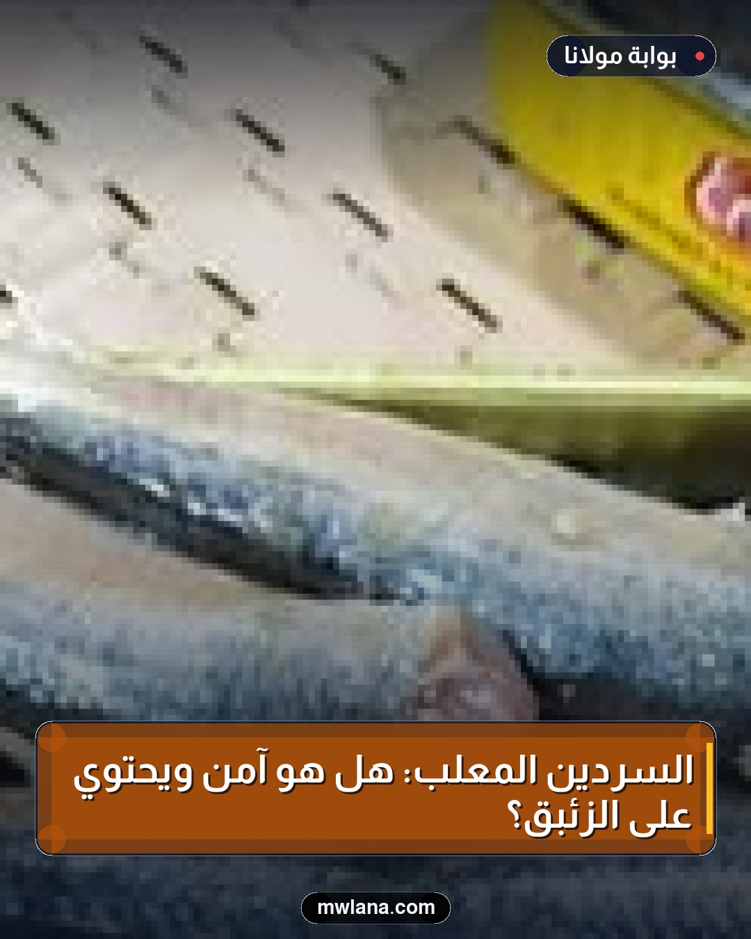 السردين المعلب: هل هو آمن ويحتوي على الزئبق؟