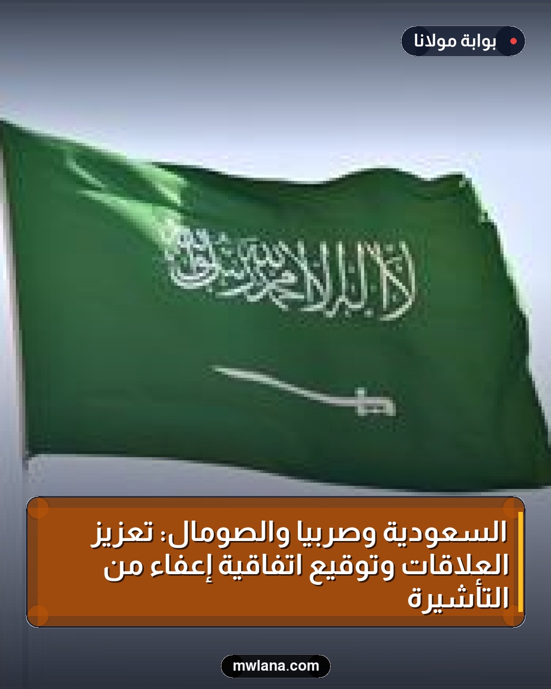 السعودية وصربيا والصومال: تعزيز العلاقات وتوقيع اتفاقية إعفاء من التأشيرة