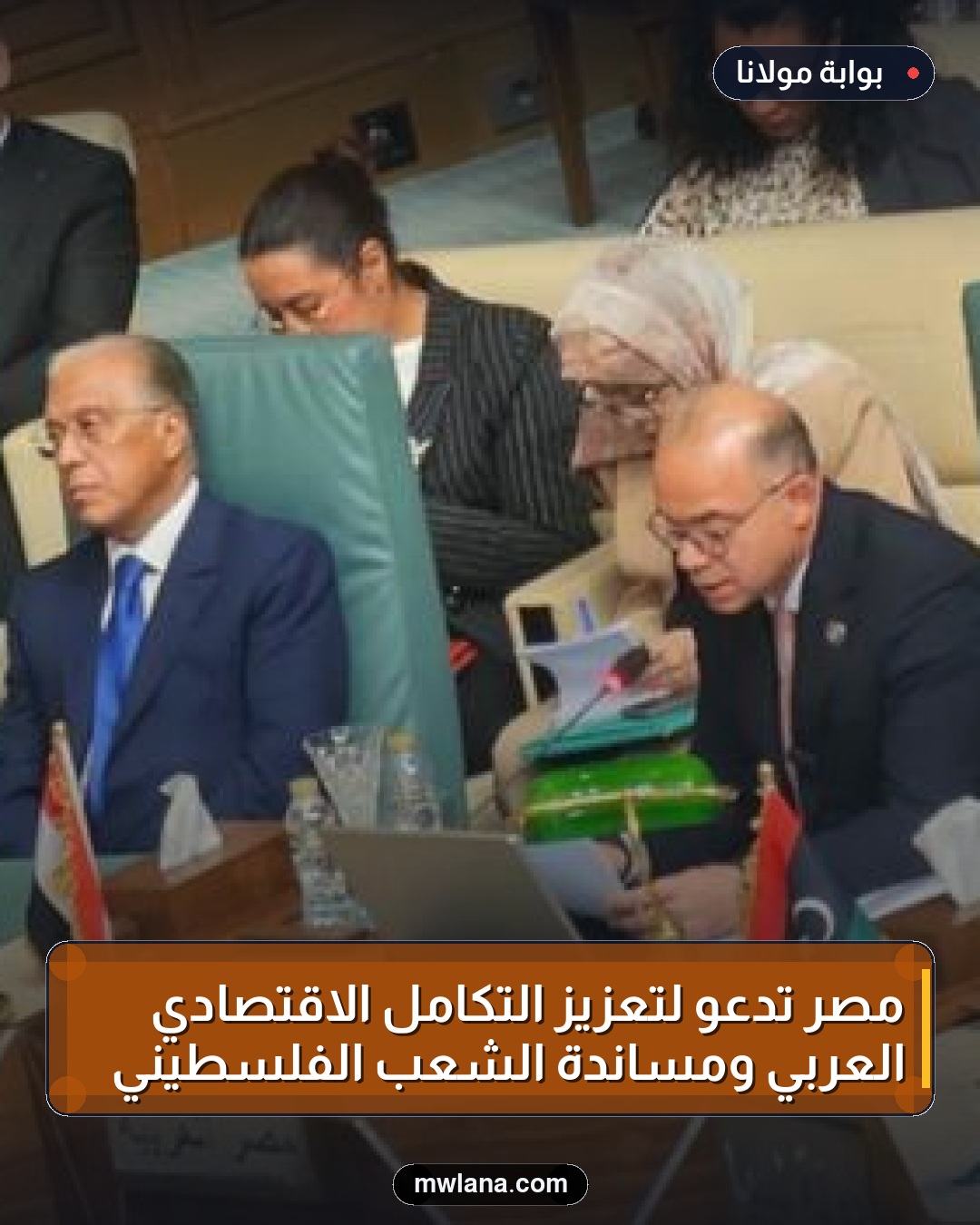 مصر تدعو لتعزيز التكامل الاقتصادي العربي ومساندة الشعب الفلسطيني