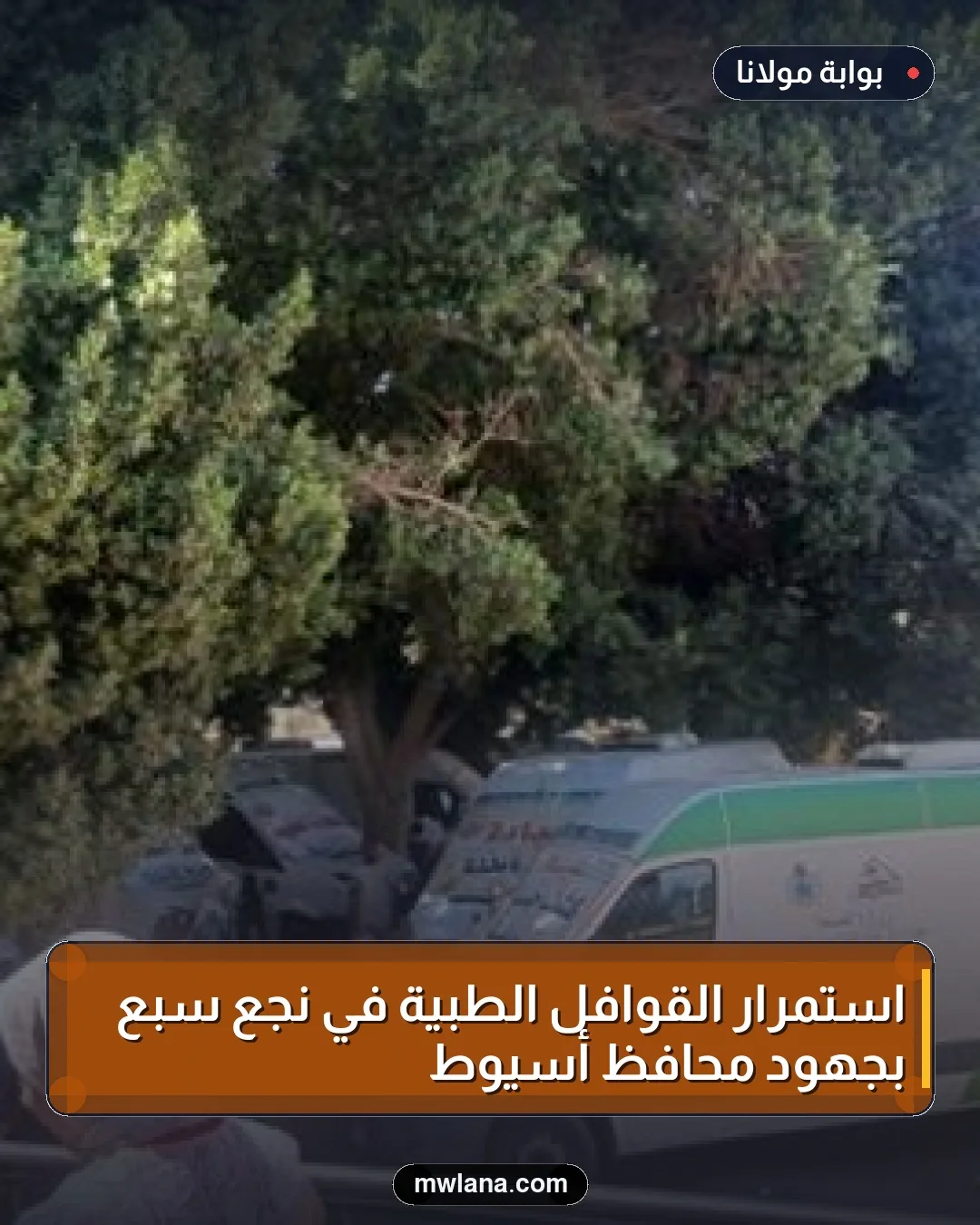 استمرار القوافل الطبية في نجع سبع بجهود محافظ أسيوط