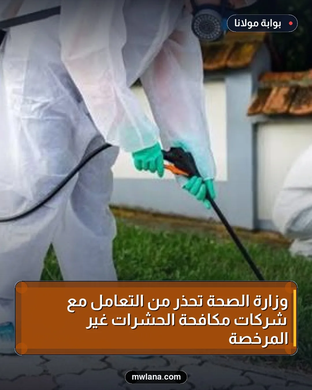 وزارة الصحة تحذر من التعامل مع شركات مكافحة الحشرات غير المرخصة