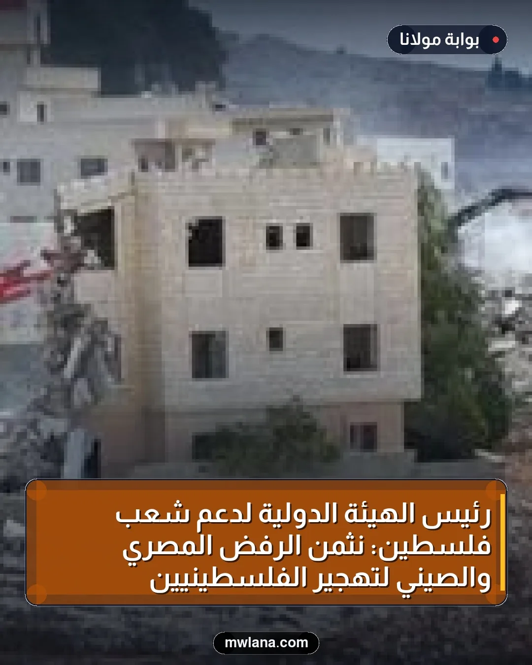 رئيس الهيئة الدولية لدعم شعب فلسطين: نثمن الرفض المصري والصيني لتهجير الفلسطينيين