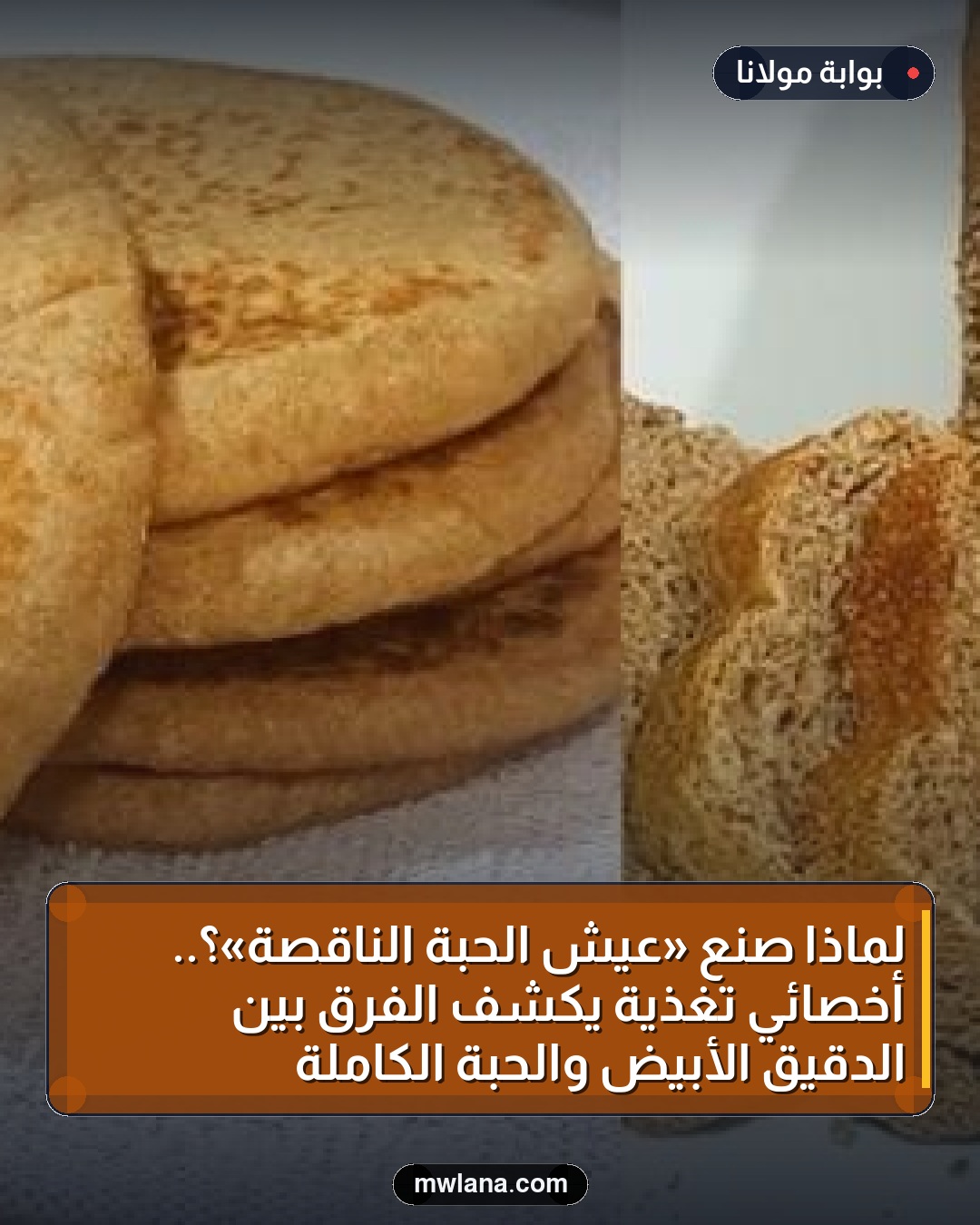 لماذا صُنِع «عيش الحبة الناقصة»؟.. أخصائي تغذية يكشف الفرق بين الدقيق الأبيض والحبة الكاملة