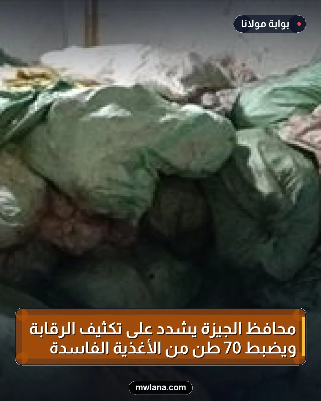 محافظ الجيزة يشدد على تكثيف الرقابة ويضبط 70 طن من الأغذية الفاسدة