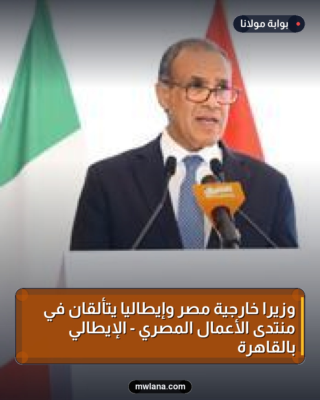 وزيرا خارجية مصر وإيطاليا يتألقان في منتدى الأعمال المصري - الإيطالي بالقاهرة