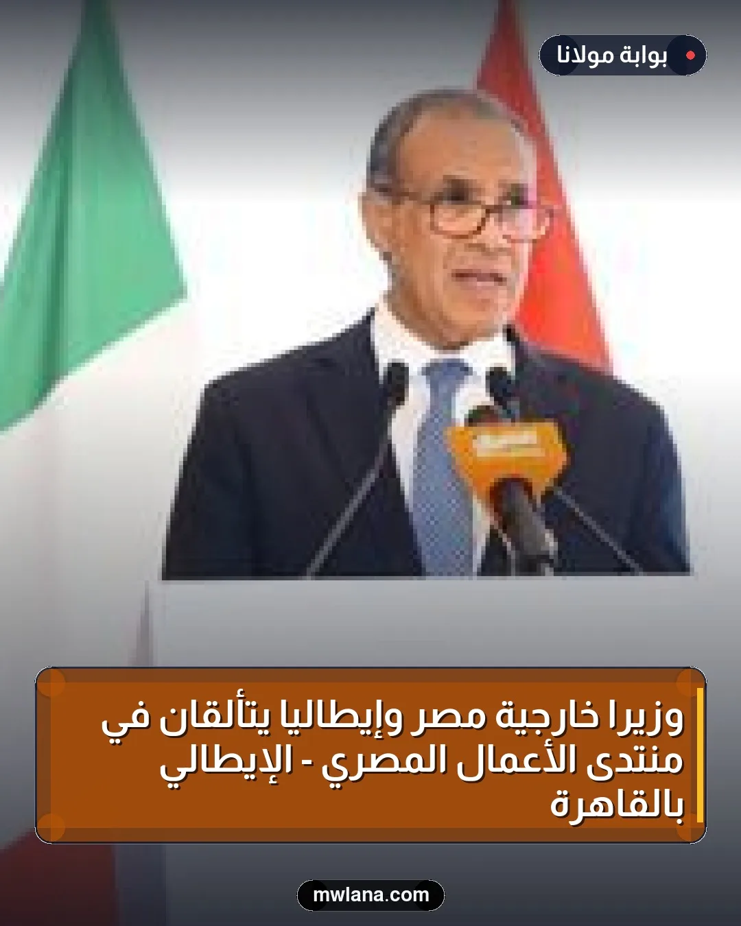 وزيرا خارجية مصر وإيطاليا يتألقان في منتدى الأعمال المصري - الإيطالي بالقاهرة