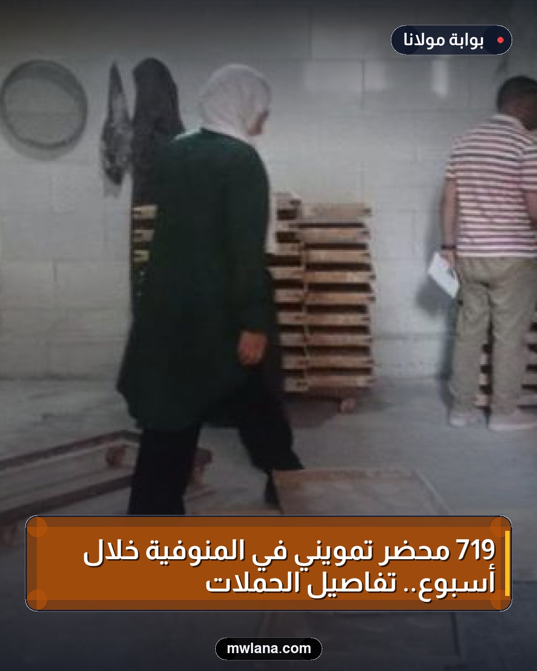 719 محضر تمويني في المنوفية خلال أسبوع.. تفاصيل الحملات