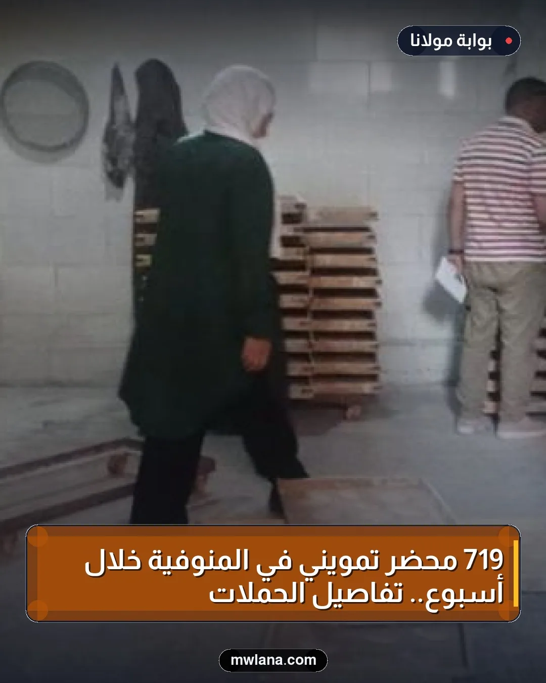 719 محضر تمويني في المنوفية خلال أسبوع.. تفاصيل الحملات