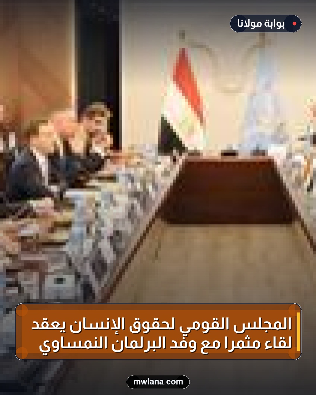 المجلس القومي لحقوق الإنسان يعقد لقاءً مثمرًا مع وفد البرلمان النمساوي
