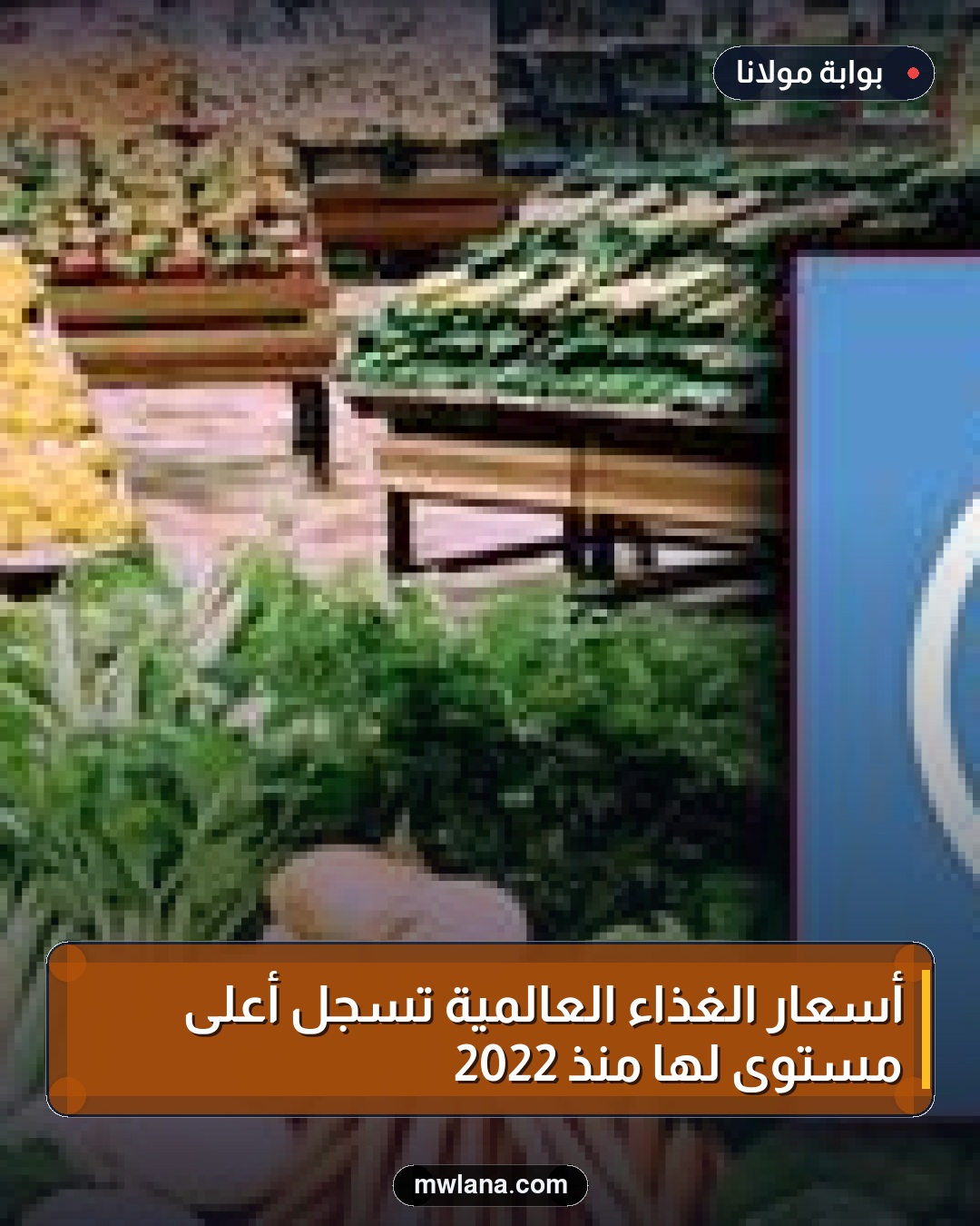أسعار الغذاء العالمية تسجل أعلى مستوى لها منذ 2022