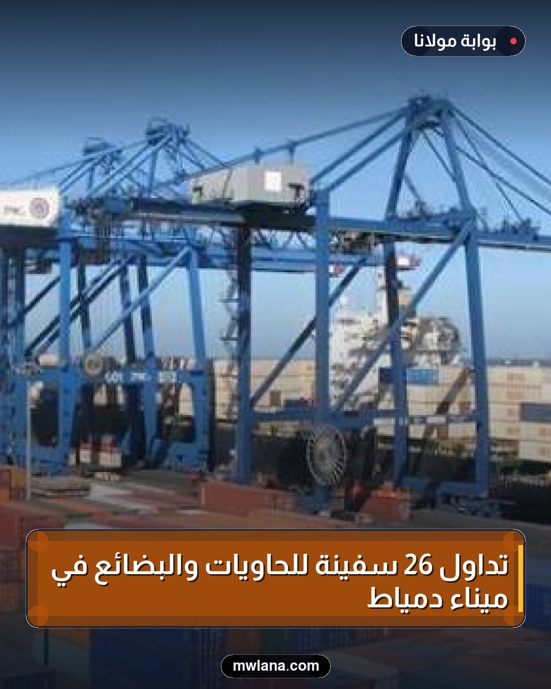 تداول 26 سفينة للحاويات والبضائع في ميناء دمياط