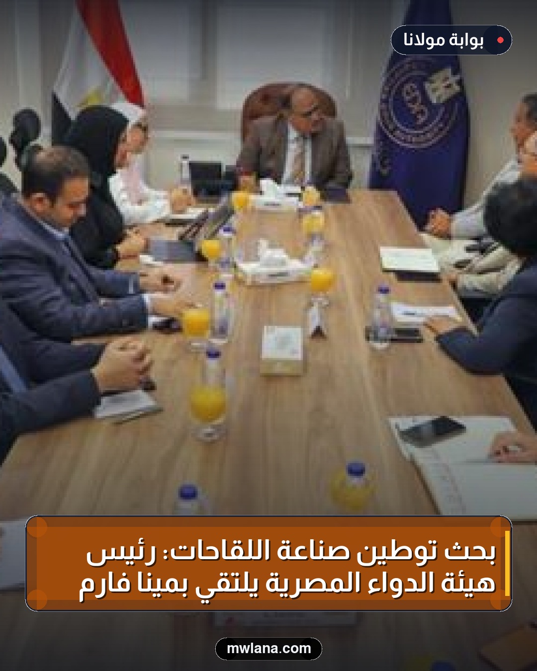 بحث توطين صناعة اللقاحات: رئيس هيئة الدواء المصرية يلتقي بمينا فارم