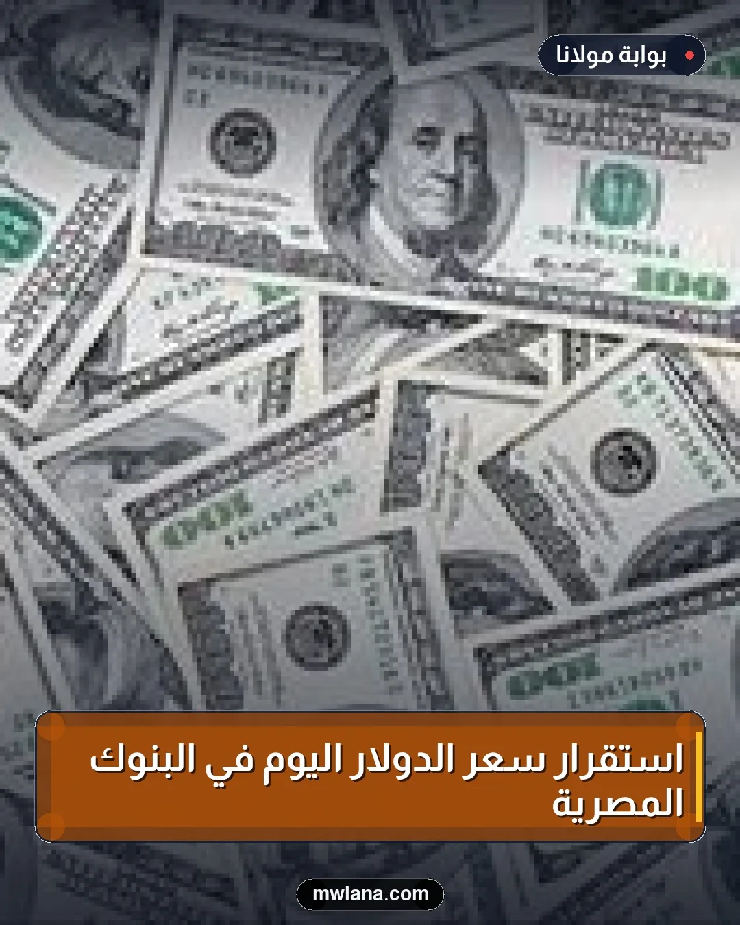 استقرار سعر الدولار اليوم في البنوك المصرية