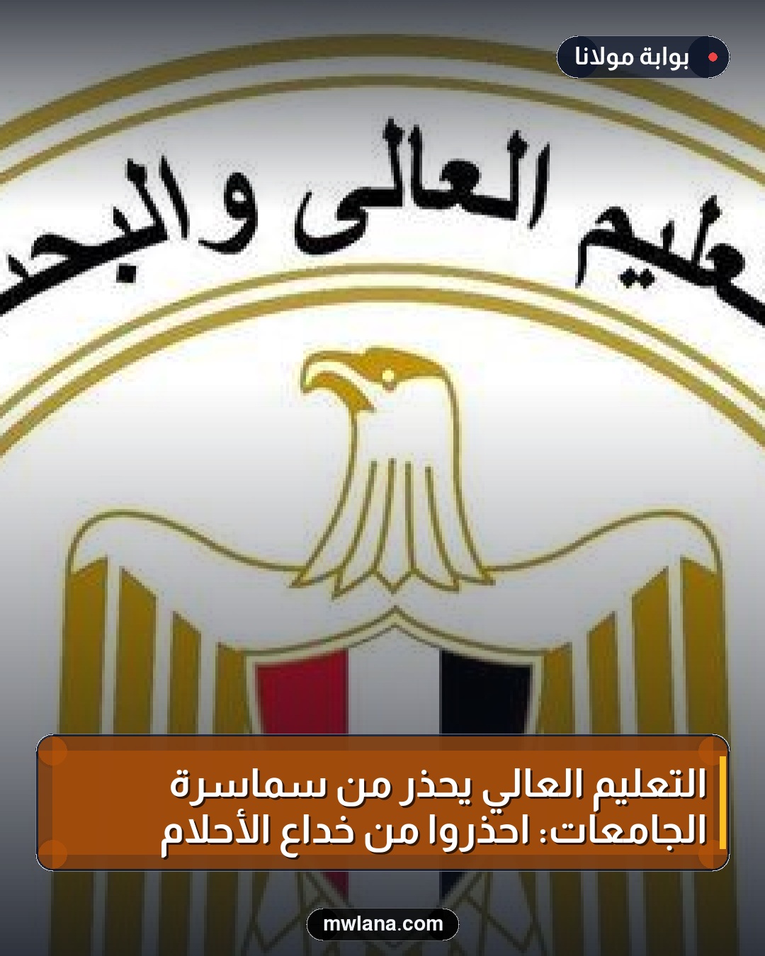 التعليم العالي يحذر من سماسرة الجامعات: احذروا من خداع الأحلام