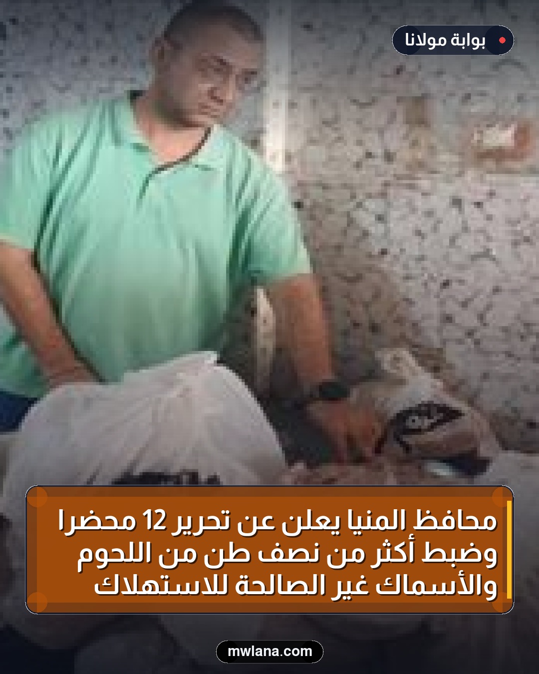 محافظ المنيا يعلن عن تحرير 12 محضرًا وضبط أكثر من نصف طن من اللحوم والأسماك غير الصالحة للاستهلاك