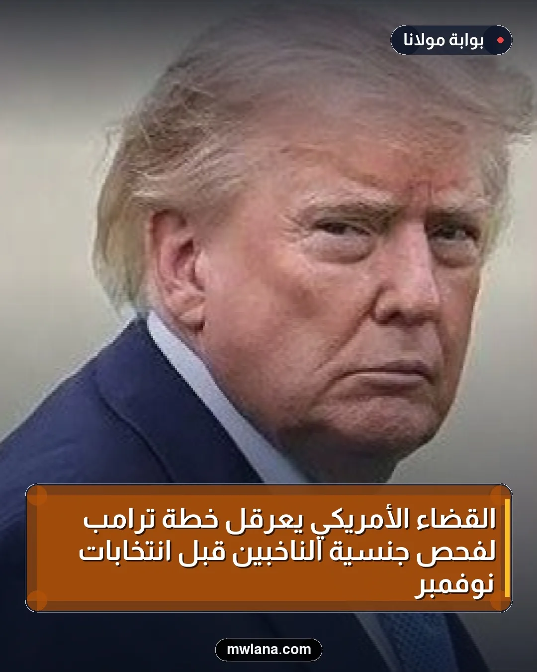 القضاء الأمريكي يعرقل خطة ترامب لفحص جنسية الناخبين قبل انتخابات نوفمبر