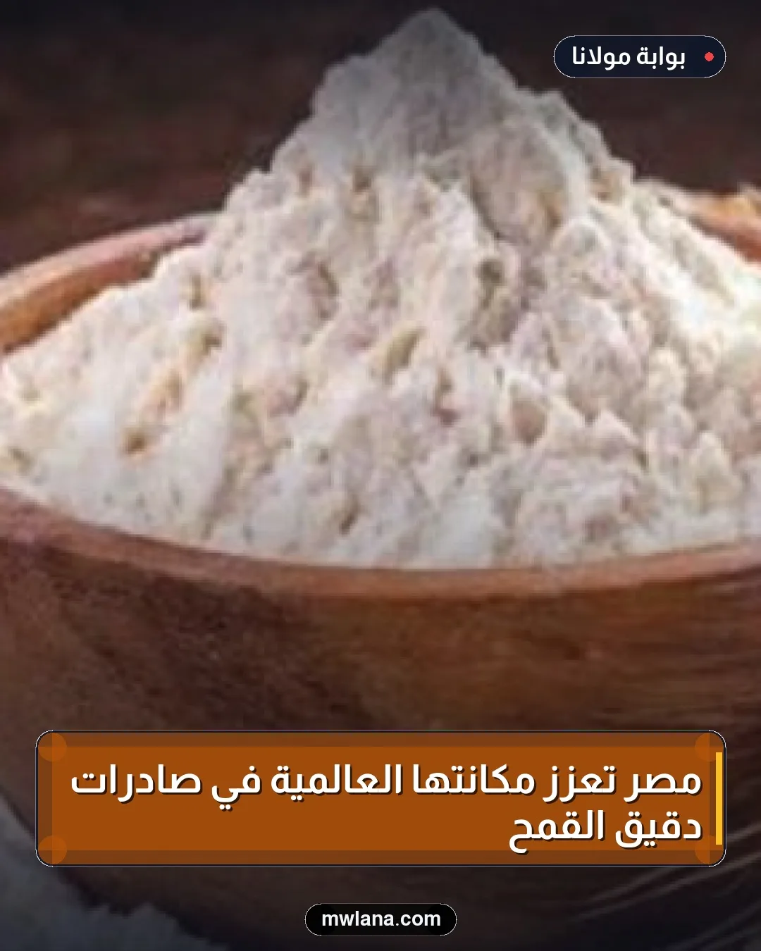 مصر تعزز مكانتها العالمية في صادرات دقيق القمح