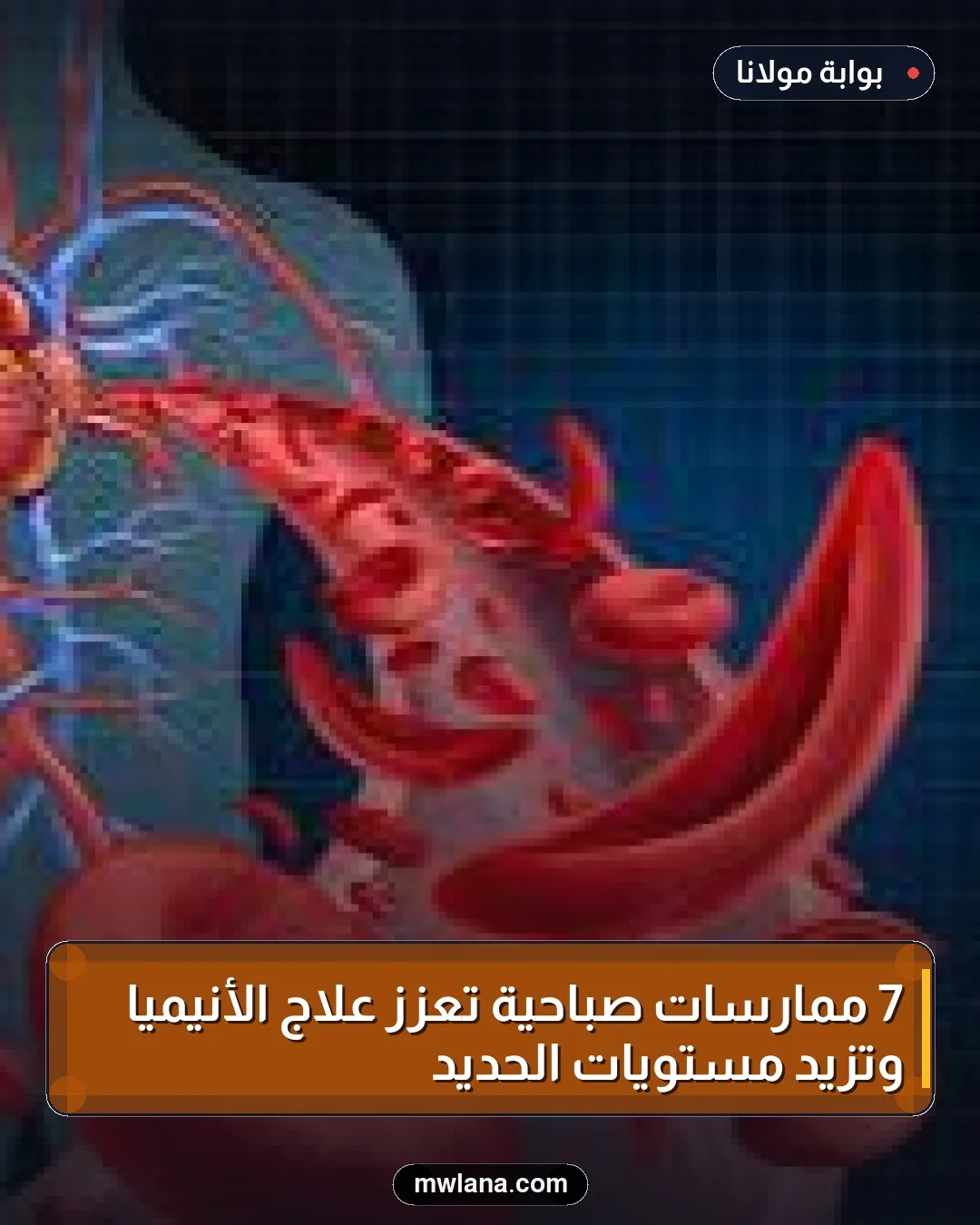 7 ممارسات صباحية تعزز علاج الأنيميا وتزيد مستويات الحديد