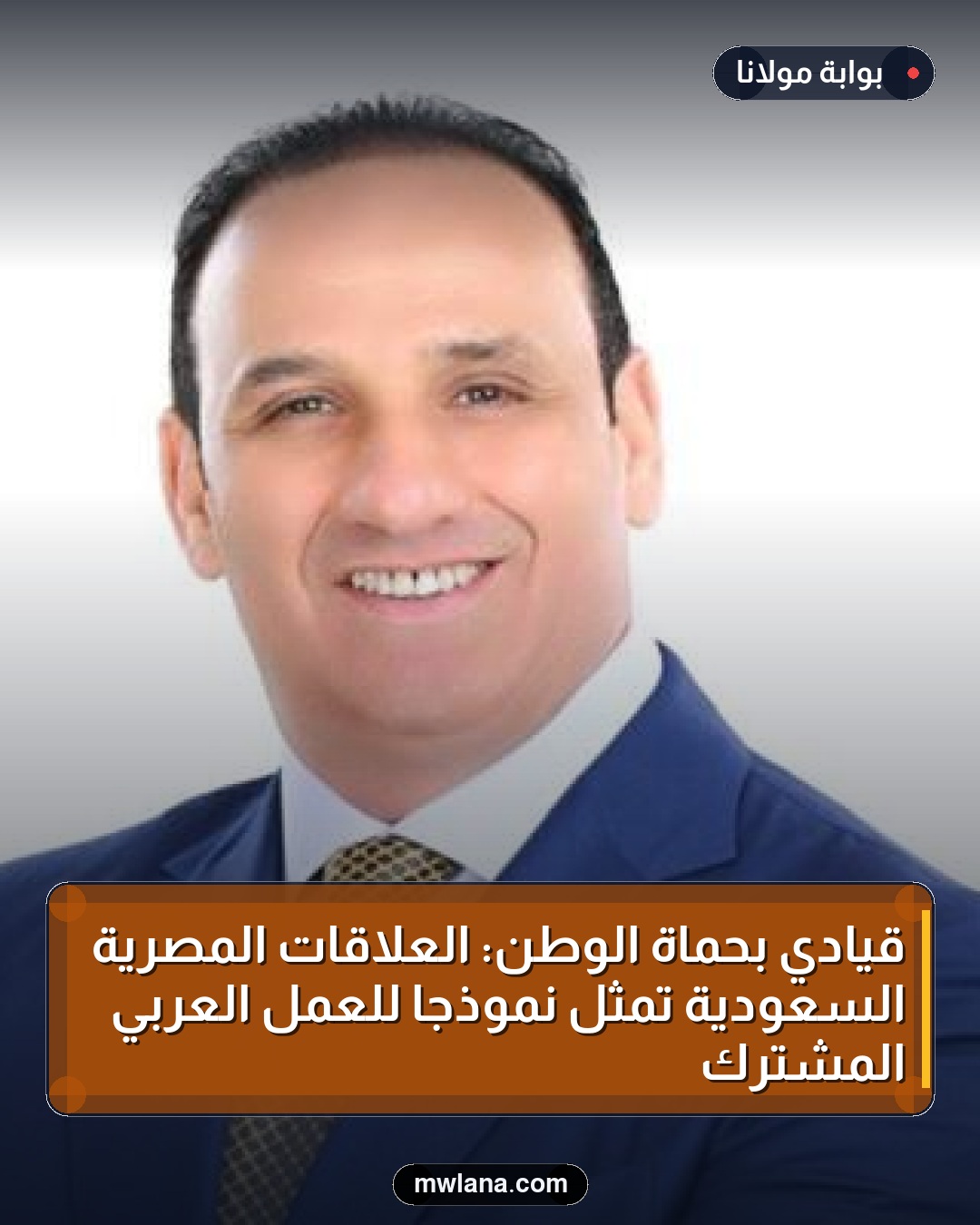 قيادي بحماة الوطن: العلاقات المصرية السعودية تمثل نموذجاً للعمل العربي المشترك