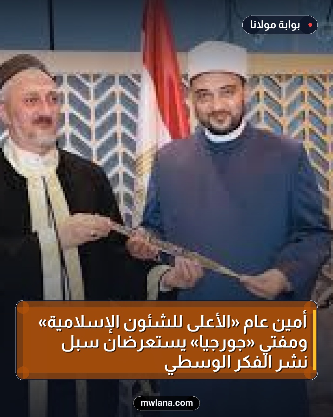 أمين عام «الأعلى للشئون الإسلامية» ومفتي «جورجيا» يستعرضان سبل نشر الفكر الوسطي