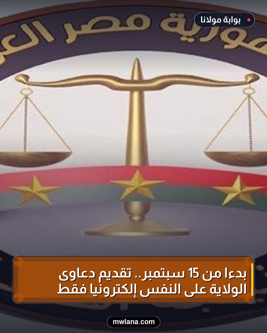 بدءًا من 15 سبتمبر.. تقديم دعاوى الولاية على النفس إلكترونيًا فقط