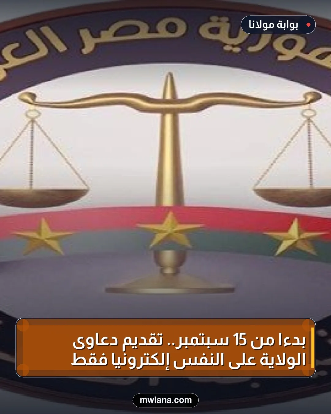 بدءًا من 15 سبتمبر.. تقديم دعاوى الولاية على النفس إلكترونيًا فقط