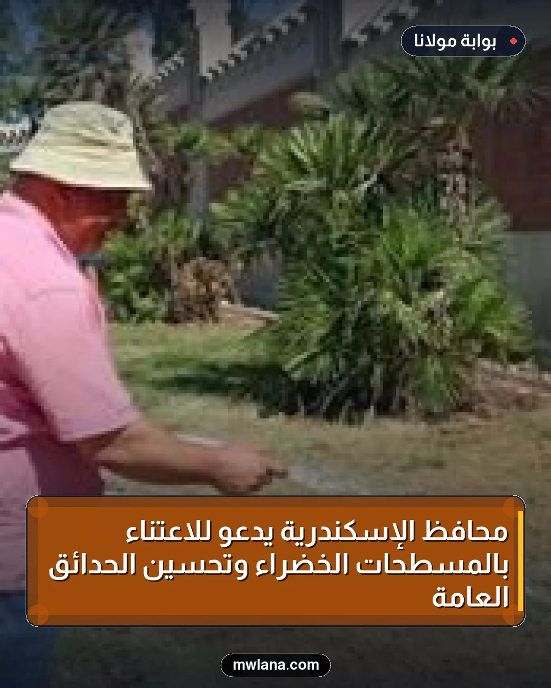 محافظ الإسكندرية يدعو للاعتناء بالمسطحات الخضراء وتحسين الحدائق العامة
