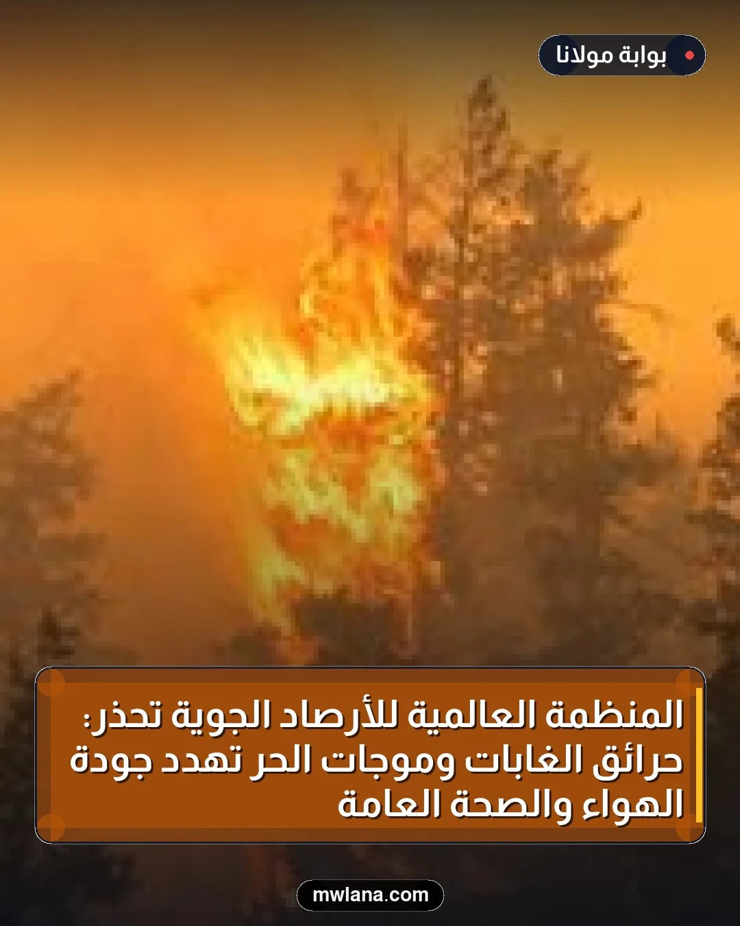 المنظمة العالمية للأرصاد الجوية تحذر: حرائق الغابات وموجات الحر تهدد جودة الهواء والصحة العامة