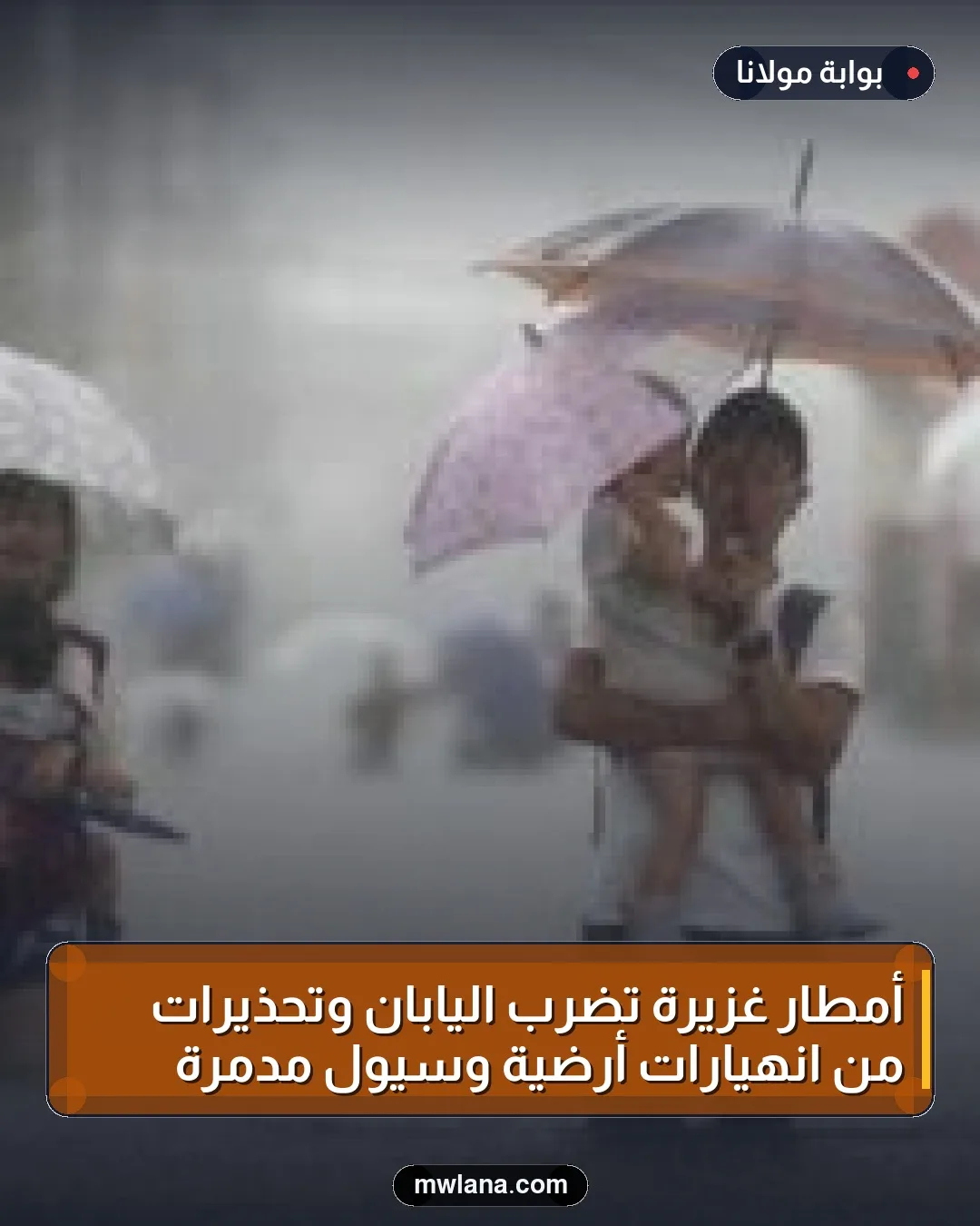 أمطار غزيرة تضرب اليابان وتحذيرات من انهيارات أرضية وسيول مدمرة
