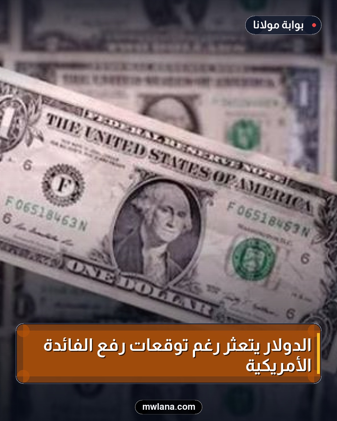 الدولار يتعثر رغم توقعات رفع الفائدة الأمريكية
