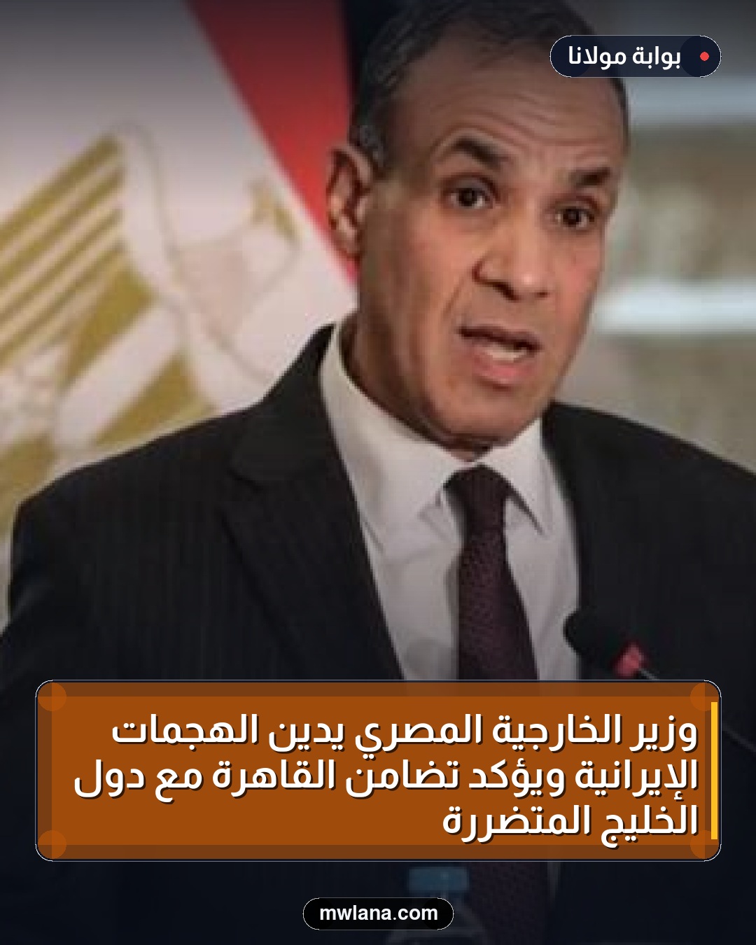 وزير الخارجية المصري يدين الهجمات الإيرانية ويؤكد تضامن القاهرة مع دول الخليج المتضررة