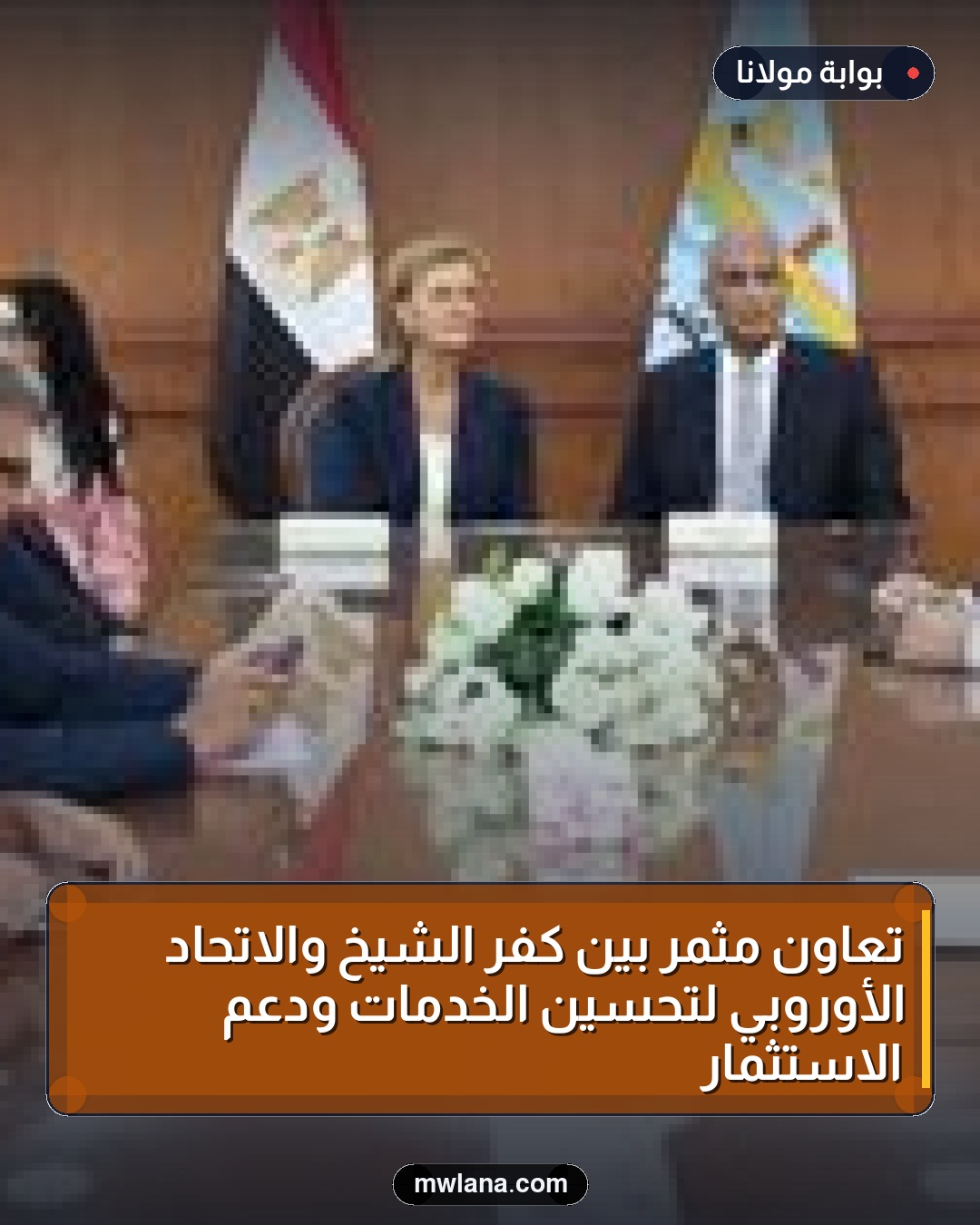 تعاون مثمر بين كفر الشيخ والاتحاد الأوروبي لتحسين الخدمات ودعم الاستثمار