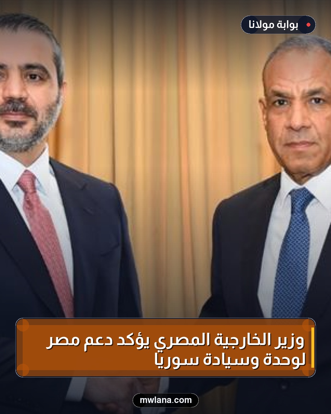 وزير الخارجية المصري يؤكد دعم مصر لوحدة وسيادة سوريا
