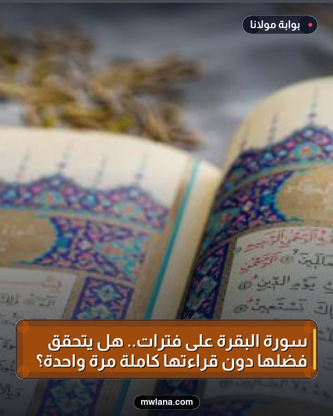 سورة البقرة على فترات.. هل يتحقق فضلها دون قراءتها كاملة مرة واحدة؟