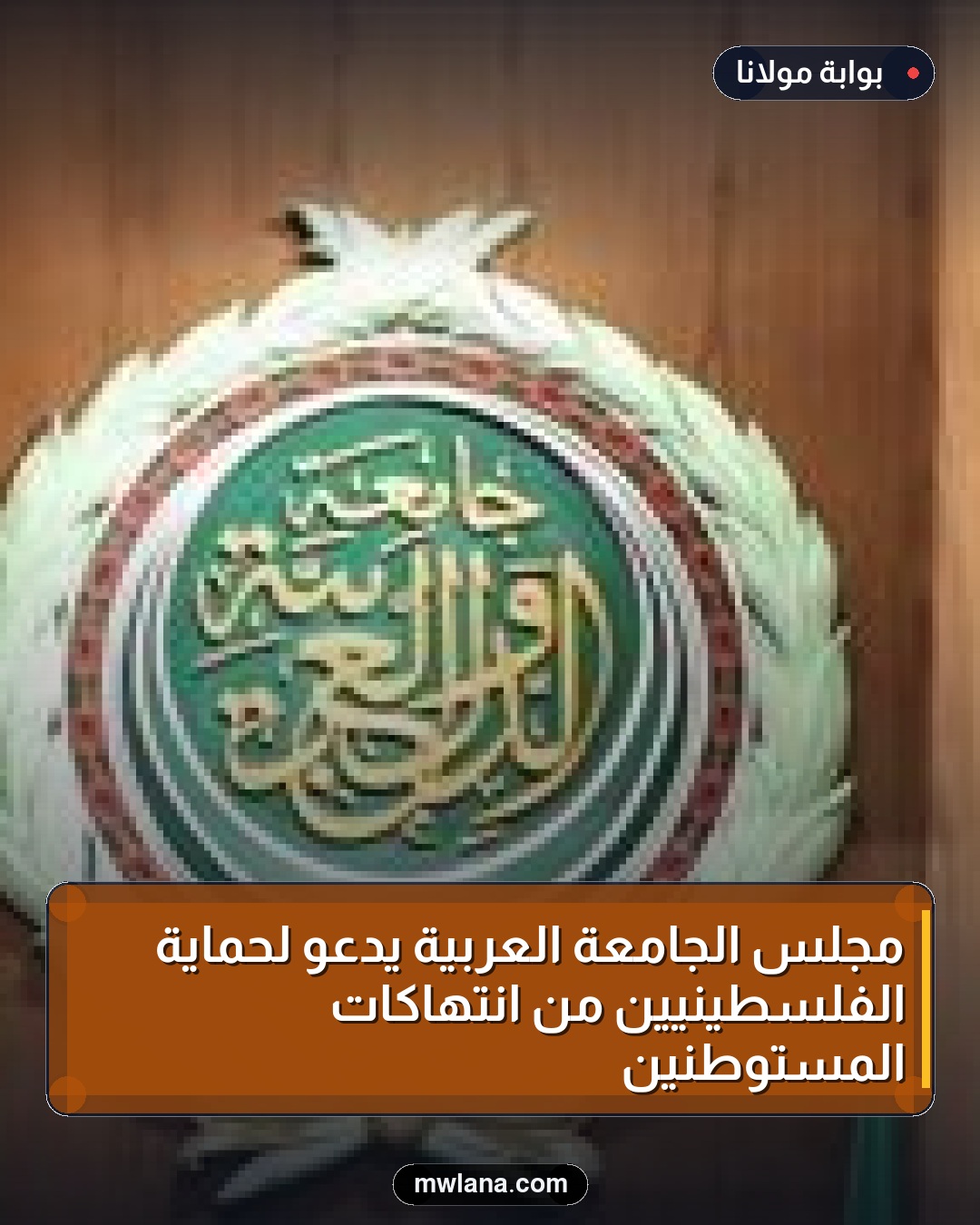 مجلس الجامعة العربية يدعو لحماية الفلسطينيين من انتهاكات المستوطنين